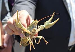 عقد قرارداد پروژه تحقیقاتی در مرکز تحقیقات آرتمیای کشور_ ارومیه