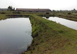 برگزاری جلسه مشترک