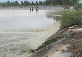 انتشار یاداشت علمی توسط محققین پژوهشکده اکولوژی دریای خزر_ ساری