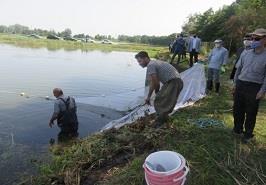 حضور رييس پژوهشكده آبزی پروری آبهای داخلی در مراسم رهاسازي بچه ماهيان سفيد به تالاب انزلي