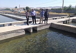 بازدید از مرکز تحقیقات ژنتیک و اصلاح نژاد ماهیان سردآبی شهید مطهری یاسوج