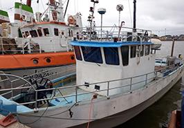 در راستای اهداف پژوهشی و پایش ذخایر ارزشمند تاس ماهیان