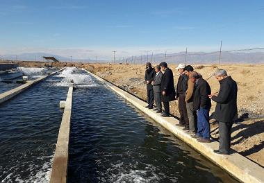 تفاهم نامه همکاری