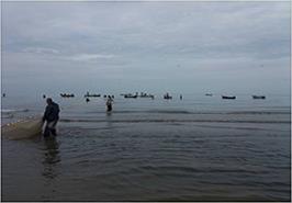 جلسه کمیته صید استانهای شمالی که در سازمان شیلات ایران