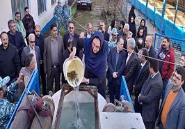 آغاز رهاسازی بچه ماهیان آزاد دریای کاسپین