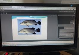 برگزاری هفتمین کارگاه آموزشی