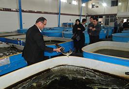 بازدید از انستیتو تحقیقات بین المللی ماهیان خاویاری