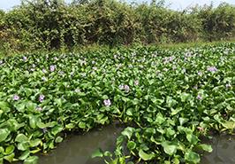 نشست مشترک پژوهشکده آبزی پروری آبهای داخلی کشور با اداره کل حفاظت محیط زیست استان گیلان