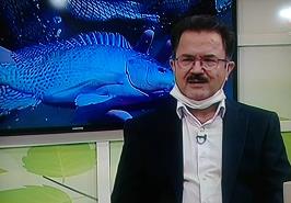 مصرف تیلاپیا برای تمام سنین مفید است