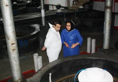 بازدید معاون برنامه ریزی و نظارت مرکز طرح های کلان ملی فناوری معاونت علمی و فناوری ریاست جمهوری از مرکز تحقیقات ماهیان سردآبی کشور