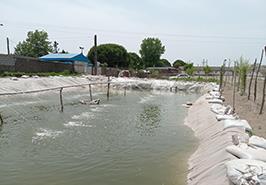 بازدید محققین پژوهشکده آبزی پروری آبهای داخلی کشور_ گیلان از استخرهای ساحلی تعاونی های صیادی پره شهرستان رشت