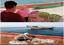 گشایش صید میگو در آب های استان بوشهر از ۱۳ مرداد ماه ۱۳۹۹