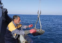 پایان گشت تحقیقاتی پروژه بررسی کفزیان همراه با شاخص های اکولوژیک در آبهای خوزستان