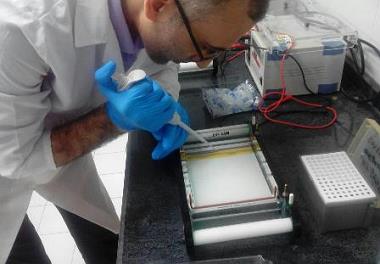 اجرای فاز اول آزمایشات ویروس شناسی مزارع پرورش ماهیان سردآبی کشور 