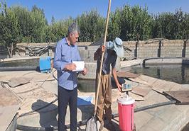 فاز دوم پروژه بررسی تأثیر مکانیزاسیون در مزارع پرورش قزل‌آلای رنگین‌کمان آذربایجان غربی اجرا شد