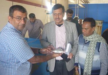 بازدید هیات کشور بنگلادش از پژوهشکده آبزی پروری جنوب کشور