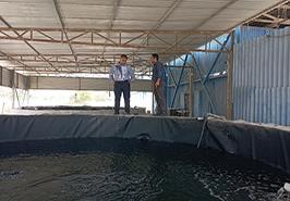 بازدید از ایستگاه تحقیقات نرمتنان بندر لنگه