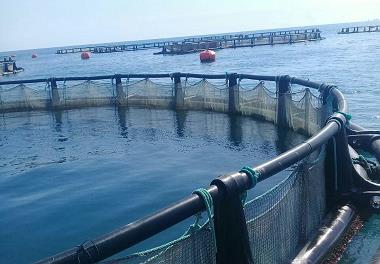 بازدید از پژوهشکده اکولوژی خلیج فارس و دریای عمان