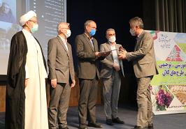 کارگاه آموزشی توجیهی مجریان طرح های کلان برگزار شد