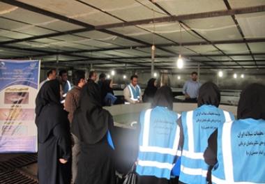 برگزاری روز مزرعه