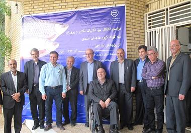 انتقال دانش فنی تکثیر و پرورش کپور ماهیان هندی به بخش اجرا 