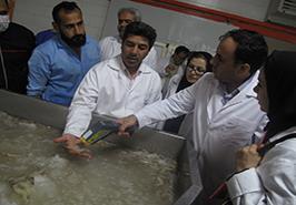 برگزاری روز مزرعه