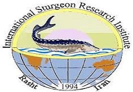 اجرای پروژه مشترک