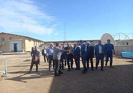 بازدید از ایستگاه تحقیقات ماهیان دریایی بندر امام خمینی