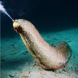 تصاویر منتخب طبیعت