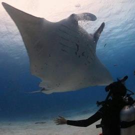 تصاویر منتخب طبیعت