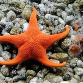 تصاویر منتخب طبیعت