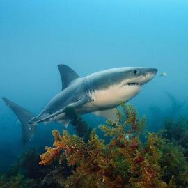 تصاویر منتخب طبیعت