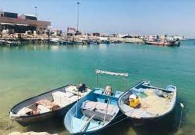 ارزیابی تنوع و برآورد زی‌توده ماهیان با تأکید بر مدیریت شیلاتی در زیستگاه‌های مصنوعی بندر بستانه و بندر سلخ (خلیج ‌فارس)