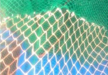 جمع آوری و بررسی خصوصیات فنی برخی از ابزارهای صید مهم و تجهیزات شناورهای صیادی سنتی در مناطق صیادی استان هرمزگان