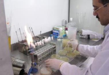 جايگزيني عصاره آويشن شيرازي (Zataria multiflora) و نانوذرات نقره به جاي آنتي بيوتيك انتخابي در درمان آئرومونازيس (Aeromonasis) در بچه تاسماهي ازون برو