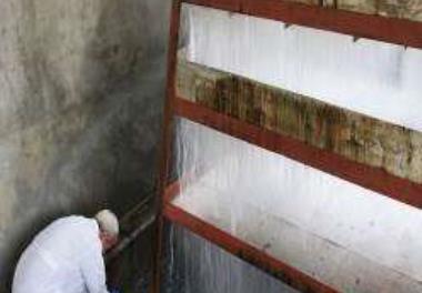 ارزیابی شاخص های بهداشتی و  استقرار ایمنی زیستی در مرکز SPF پایلوت تحقیقاتی تولید قزل آلای عاری از بیماری خاص