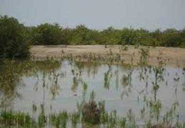 ارزيابي اثرات بوم شناسی پساب واحد های نمک زدا شهرستان بوشهر بر جوامع کفزی و پلانکتونی در شرایط آزمایشگاهی و میدانی