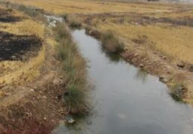 امکان‌سنجي توسعه آبزي‌پروري ماهيان سردابي، گرمابي و خاوياري در رودخانه‌هاي بشار، مارون و خيراباد در استان کهگيلويه و بويراحمد (شهرستان‌هاي بويراحمد، ک