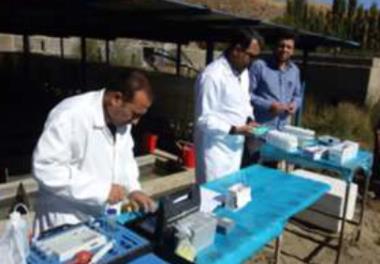 عنوان گزارش علمی‌ : مطالعه اثرات ضد میکروبی و آسیب شناسی محصول Aquaomnicide در ماهی قزل آلای رنگین کمان پرورشی (Oncorhynchus mykiss)