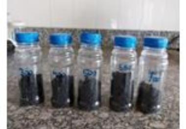 سنتز بيوچار از لجن فاضلاب تصفیه‌خانه بندرعباس و تاثيرآن بر حذف مواد مغذي از پساب مزارع پرورش ميگو