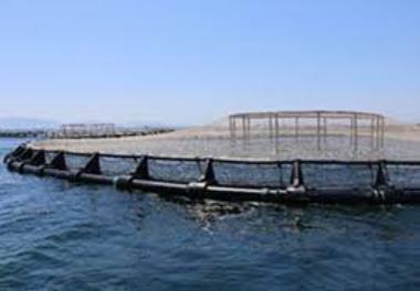 عنوان گزارش علمی: پایش پارامترهای محیطی رسوبات سطحی پیرامون پرورش ماهی در قفس در سواحل جنوبی دریای خزر (منطقه نوشهر)