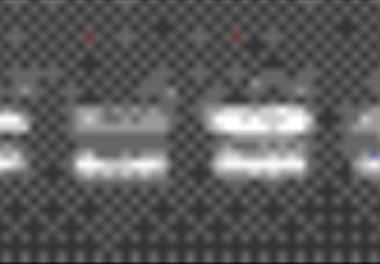 بررسی تنوع مورفولوژیکی و ژنتیکی آرتمیای هچ شده از سیست شناور(Artemia urmia  )در لایه های فوقانی و تحتاتی دریاچه ارومیه