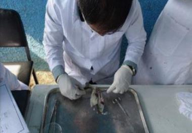 اثر جایگزینی پودر ماهی با سویای فرآوری شده بر شاخص های تغذیه و خون شناسی در قزل آلای رنگین کمان انگشت قد