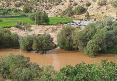 مطالعه ليمنولوژيکي حوضه آبريز رودخانه بشار به منظور توسعه آبزي‌پروري و افزايش ظرفيت پرورش ماهيان سردابي استان کهگيلويه و بويراحمد
