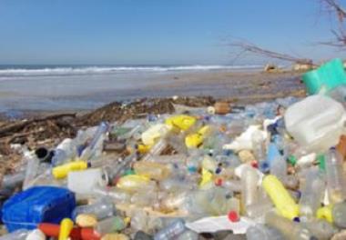 عنوان گزارش علمی-فنی : اثرات پسماند های پلاستیکی بر محیط زیست و زیستمندان دریایی (الزامات حفاظتی، قوانین بین المللی و راهکار های کاهش مصرف)