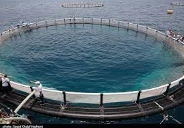 عنوان گزارش علمی-فنی: پایش اثرات زیست محیطی پرورش ماهی در قفس در جنوب دریای خزر (منطقه نوشهر) طی سال‌های 97-1396 « سنتز و تلفیق مطالعات انجام شده»