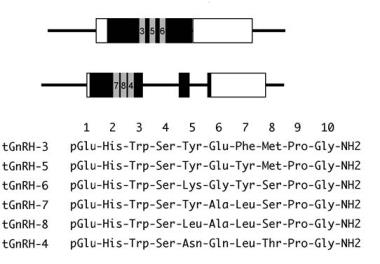 شناسایی مسيرهای مولکولی، طبقه بندی و آناليز بيوانفورماتيک خانواده ژنی هورمون آزادکننده گنادوتروپين (GnRH) در ماهی قزل آلای رنگين کمان