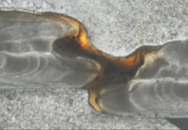 بررسی امکان تفکیک جمعیتی یک گونه از ماهیان استخوانی دریای خزر (Rutilus kutum) از طریق انگشت نگاری عنصری بافت های سخت بدن