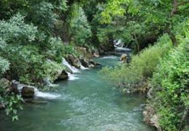 عنوان گزارش علمی - فنی: ارزیابی کیفیت آب رودخانه سیروان (کردستان) با تأکید بر شاخص‌های زیستی زئوپلانکتونی برای احداث سد مخزنی ژاوه