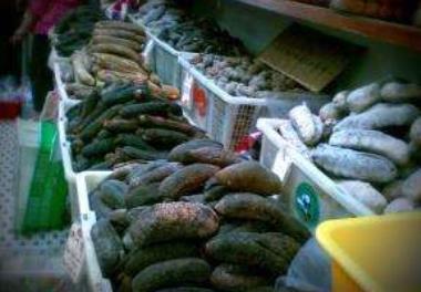 عنوان گزارش علمی : خیار دریایی، گزینه‌ مناسب برای آبزی‌پروری